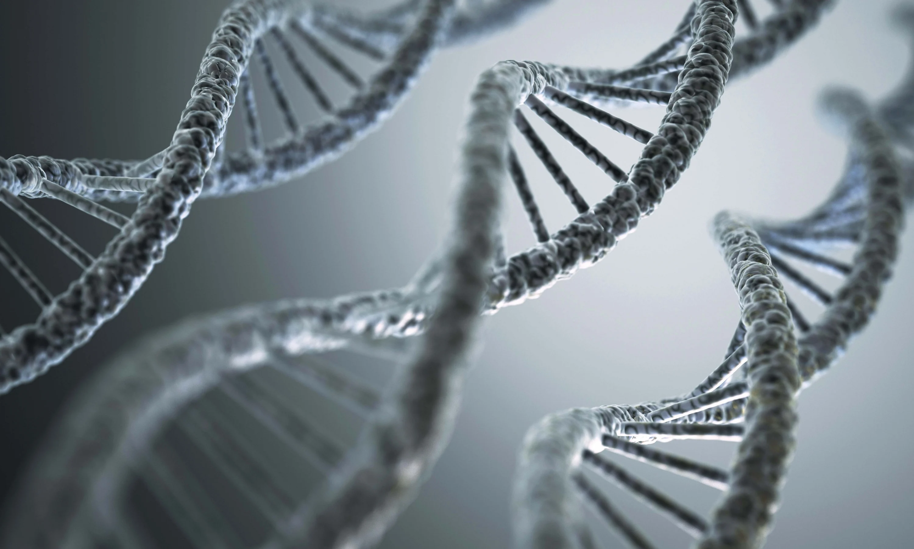 Join Our Research Team!